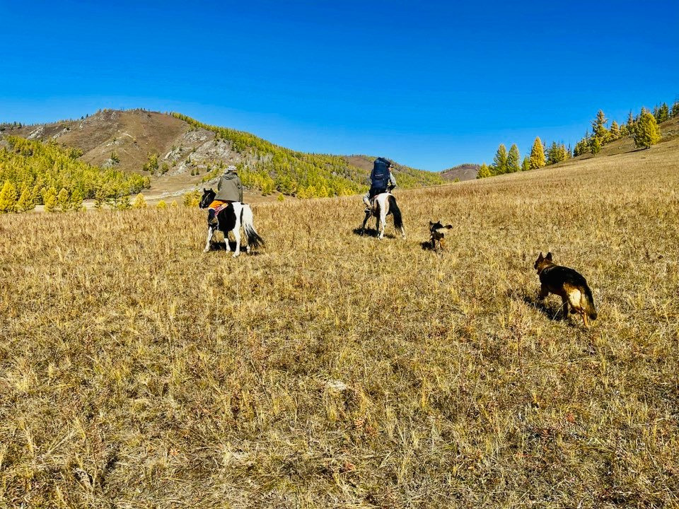 Хөвсгөл аймгийн тариалан суманд сар хүрэхгүй хугацаанд гурван хүн сураггүй боллоо